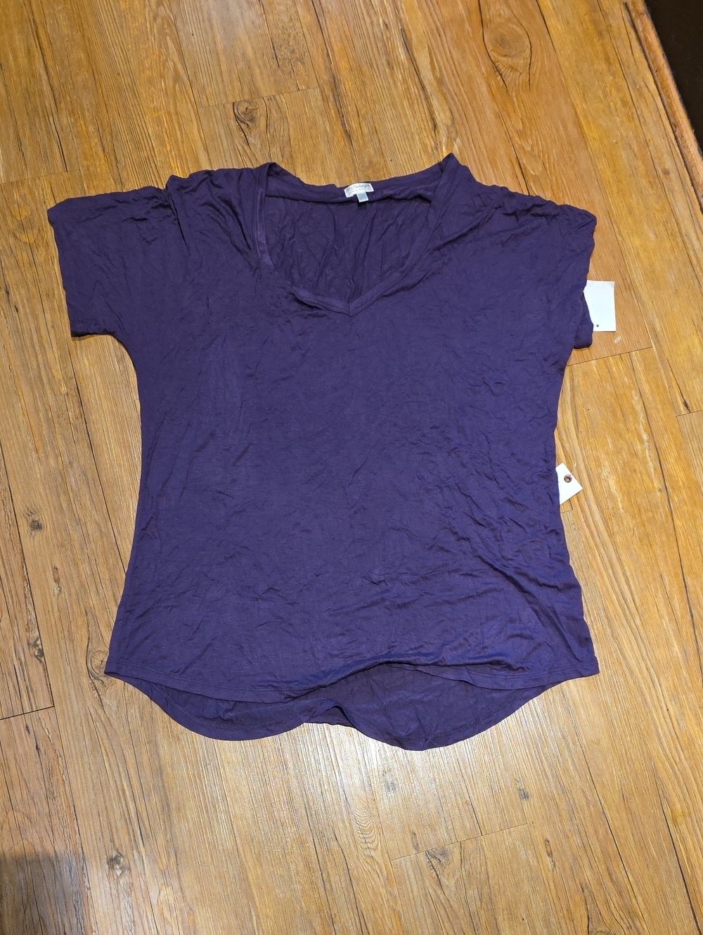 Women's Purple V-Neck Short Sleeve Top